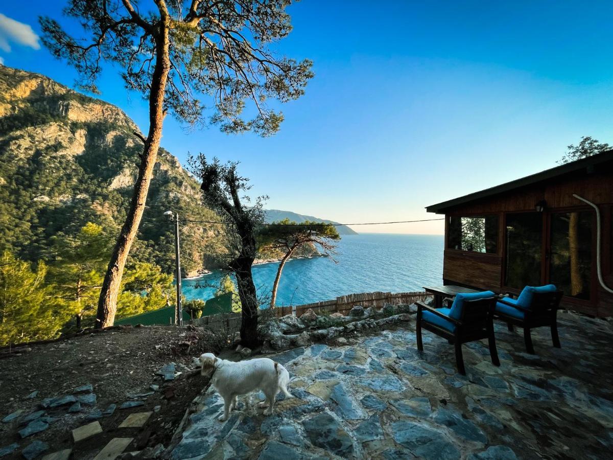 Kabak Uetopya Kamp Faralya Ngoại thất bức ảnh