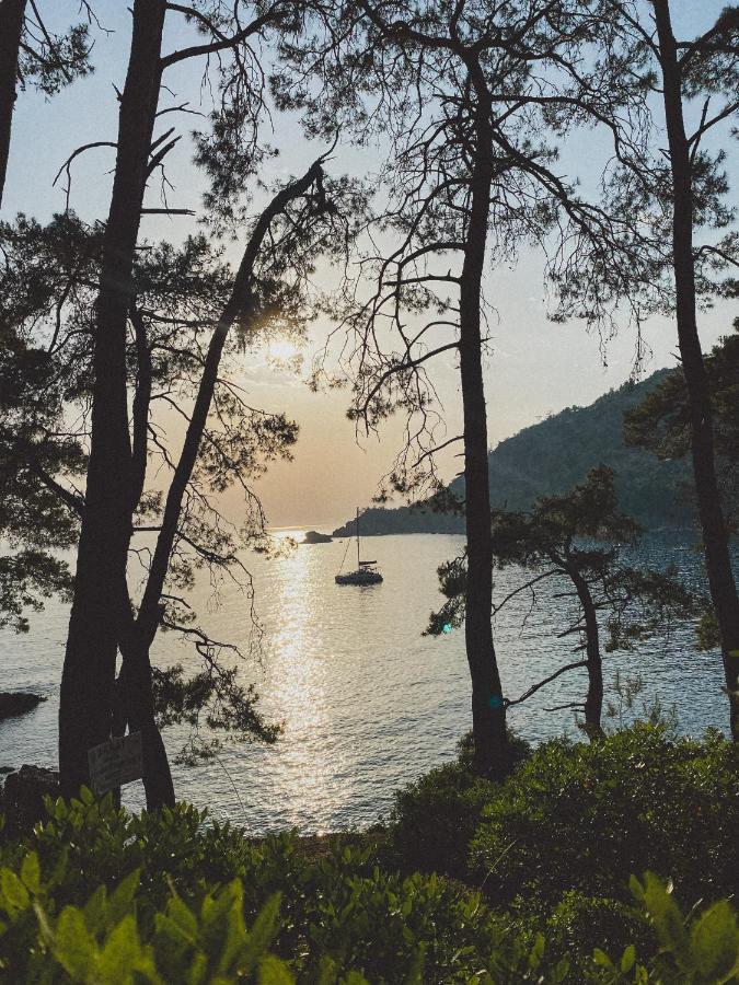 Kabak Uetopya Kamp Faralya Ngoại thất bức ảnh